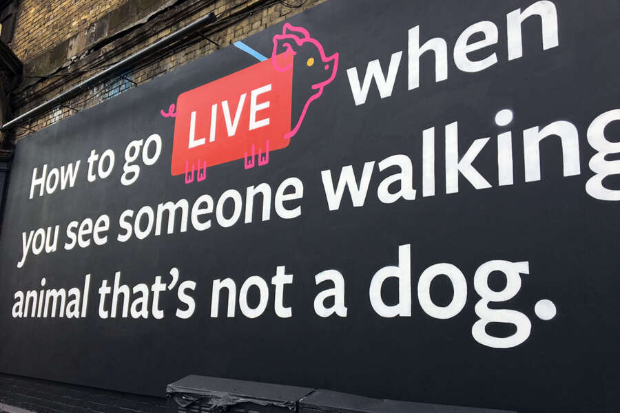 Absolutely---FB-Live-detail-3